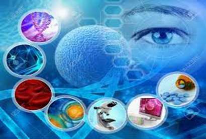 هسته های پژوهشی